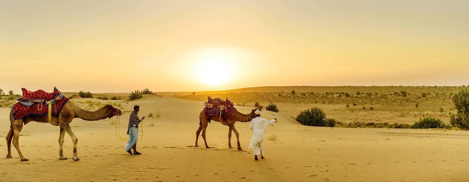 Camel-Safari in bikaner