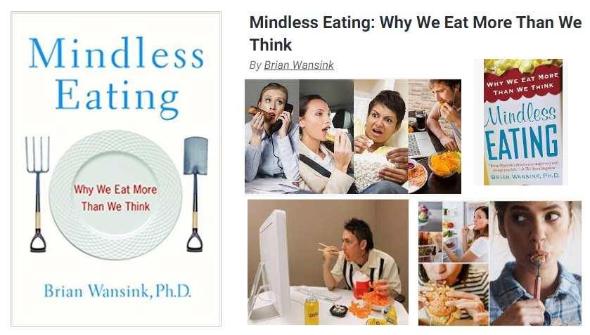 Mindless Eating Book Review
