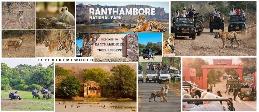 Ranthambore National Park, Sawai Madhopur, Tiger Reserve