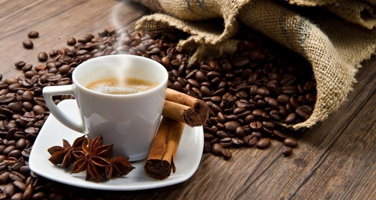 Importance of Caffeine to the Human Brain